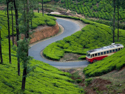 National Tour Gallery