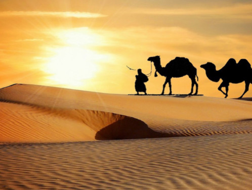 National Tour Gallery