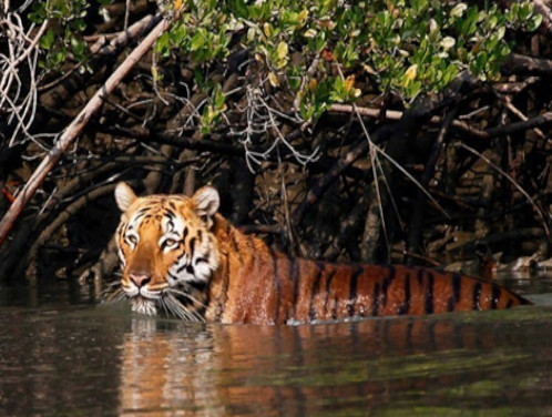 Weekend Tour Gallery